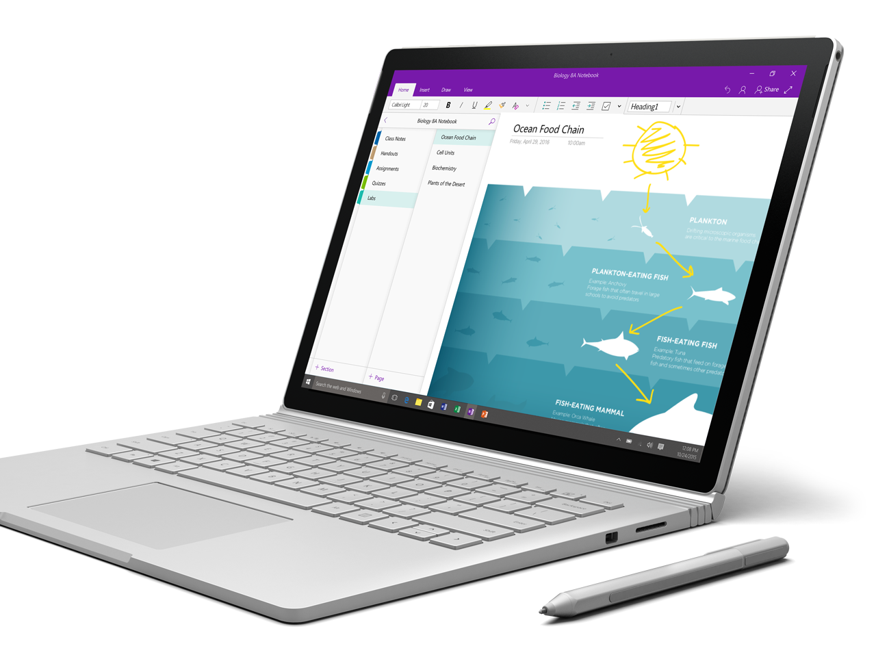 Photo of OneNote displayed on a Surface Book